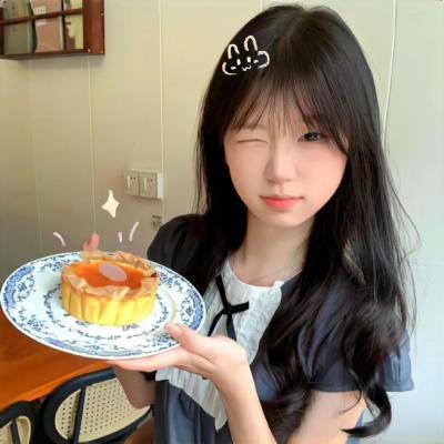 丹麦共居生活